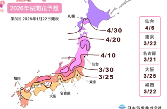 【2026 日本櫻花】最新預測出爐！🌸 名古屋/高知 3/21 搶先開 ✈️ 東京預計 3/22 開花 (附全日本時間表)