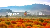 Trip.com 韓國優惠碼 2026 10月｜5 個獨家 Promo Code 機票減 HK$200、套票減 HK$300、體驗減 HK$100